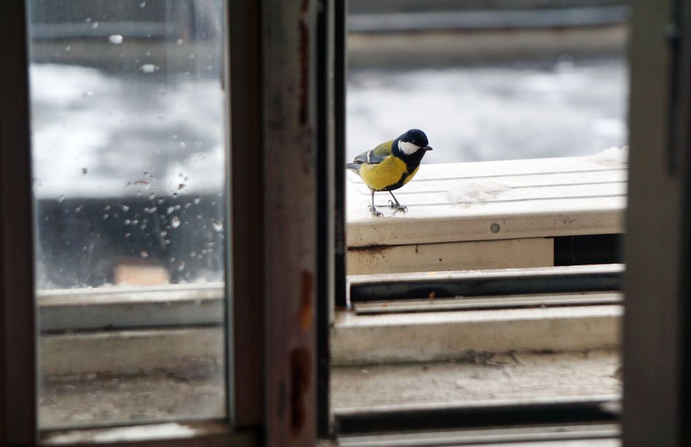 Photograph by Лена Максимкина