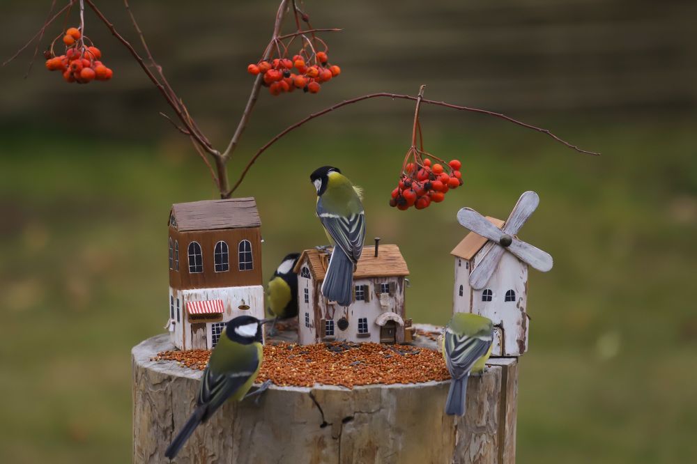 Photograph by Ольга Смачных