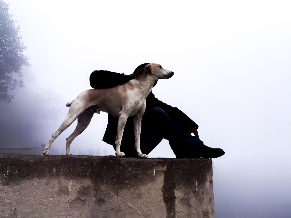 Photograph by ShahFaisal Ansari