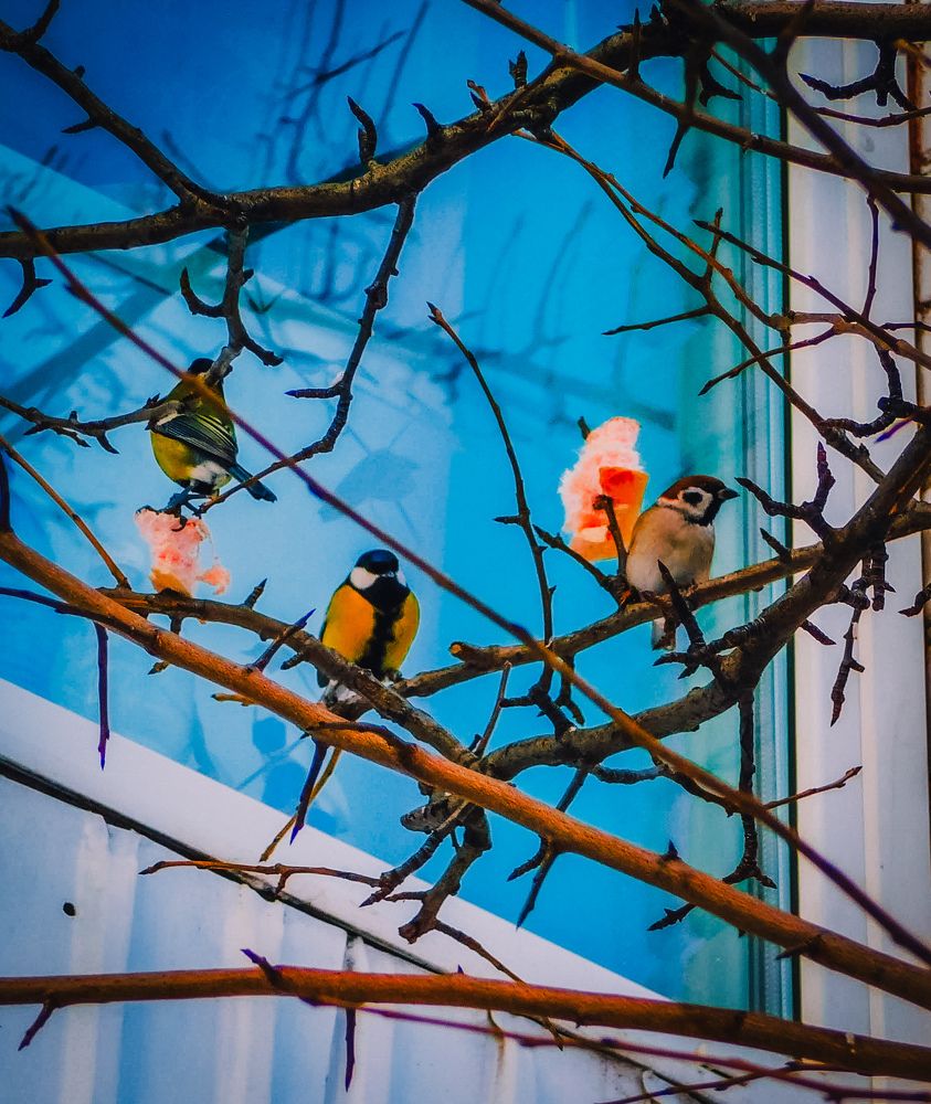 Photograph by Олеся Бронзова