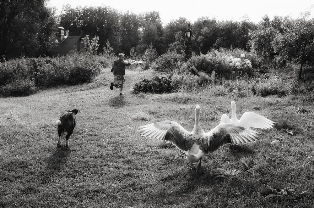 Photograph by Людмила Дубровина