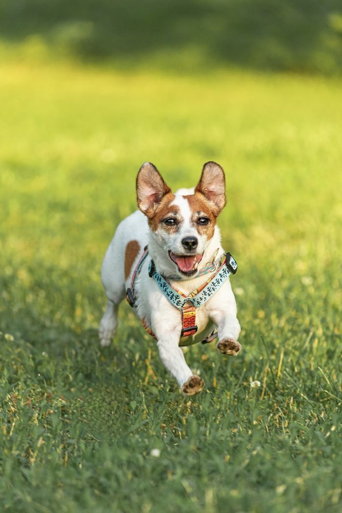 Photograph by Olga Matveeva