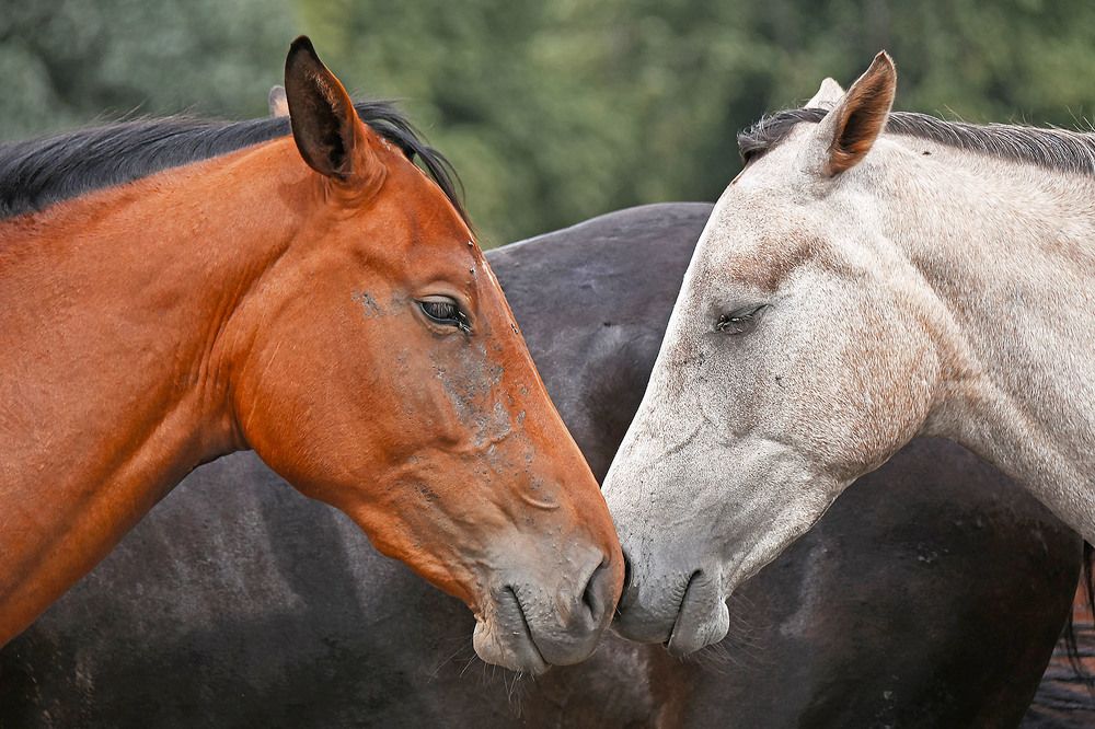 Photograph by Marjo Steffen