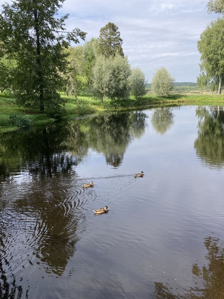 Photograph by Светлана