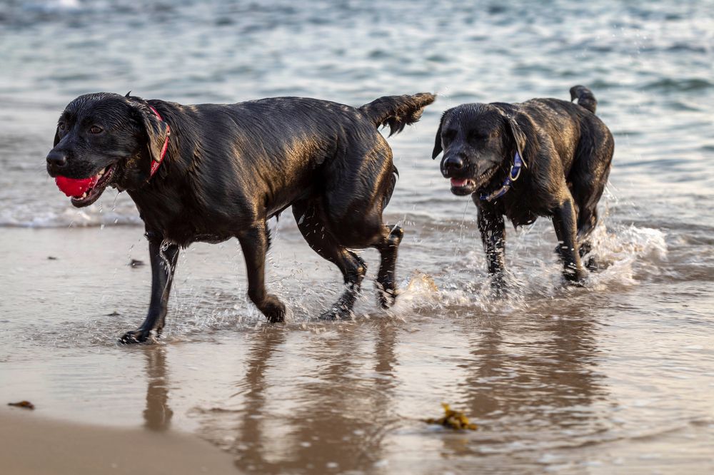 Photograph by Зоя Эль