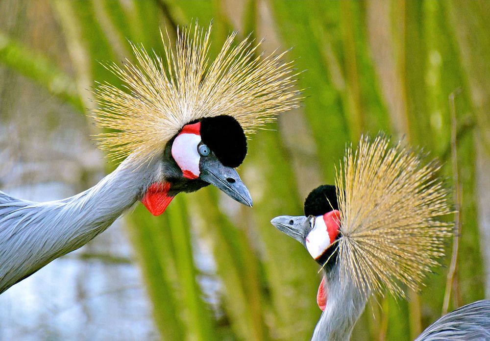 Photograph by Marjo Steffen