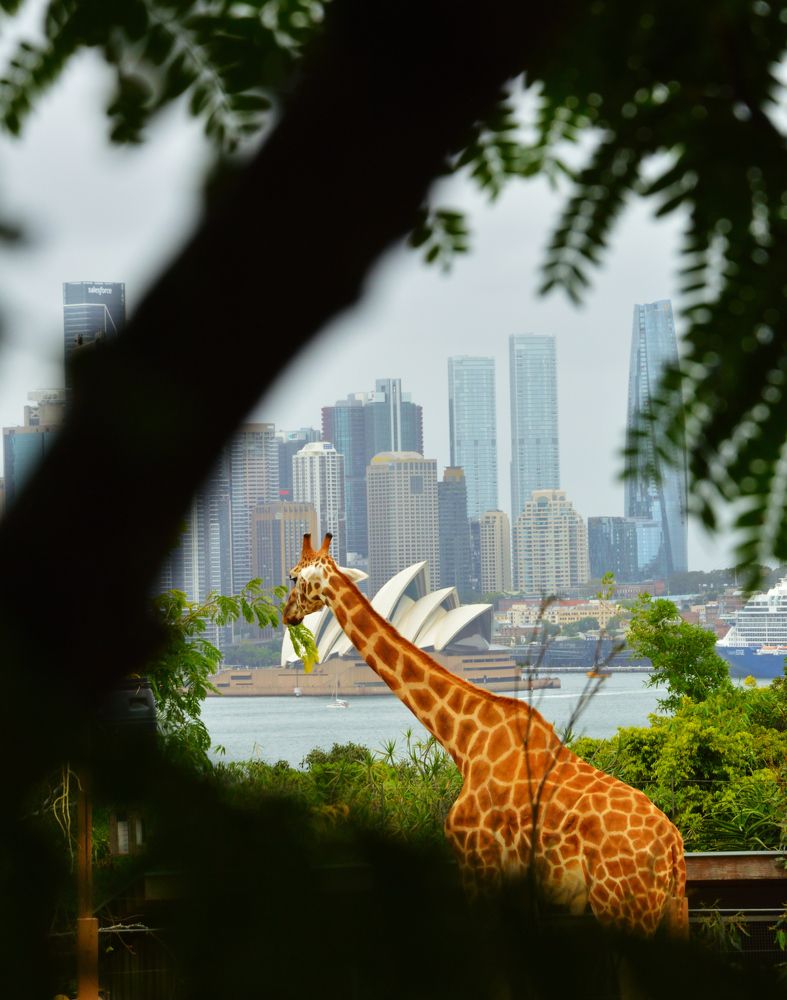 Photograph by Kirill E.