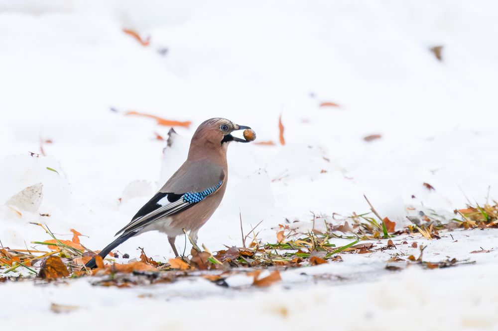 Photograph by Dmitry Ishniyazov