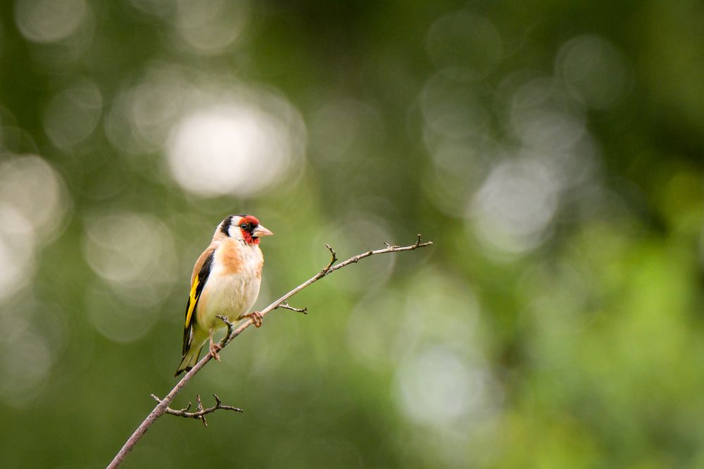 Photograph by Dmitry Ishniyazov