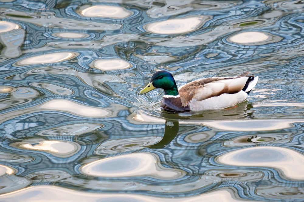 Photograph by Dmitry Ishniyazov