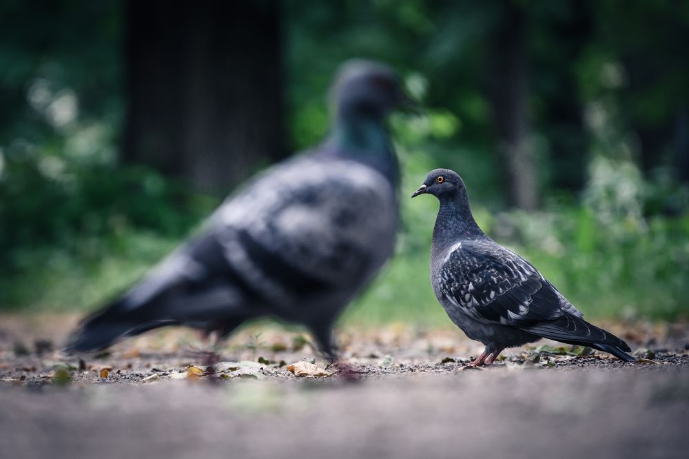 Photograph by Dmitry Ishniyazov