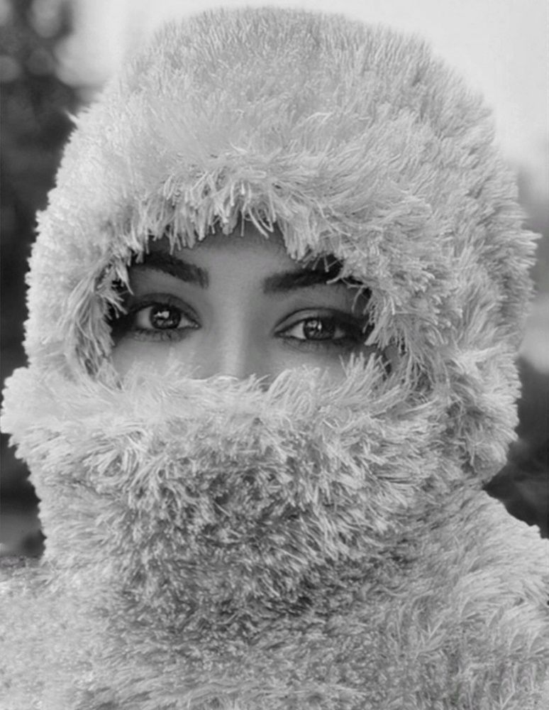 Фотография автора reyhane  khavaninzadeh