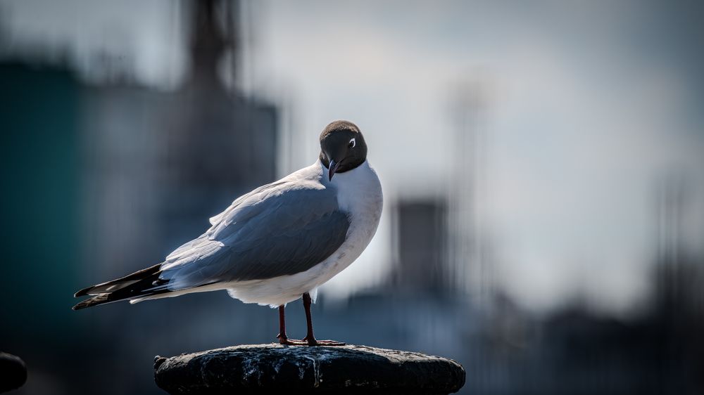 Photograph by Sofia Belyaeva