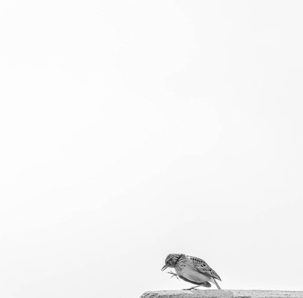 Photograph by Mahesh Varade