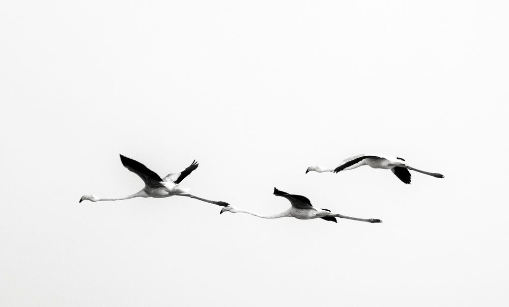 Photograph by Mahesh Varade