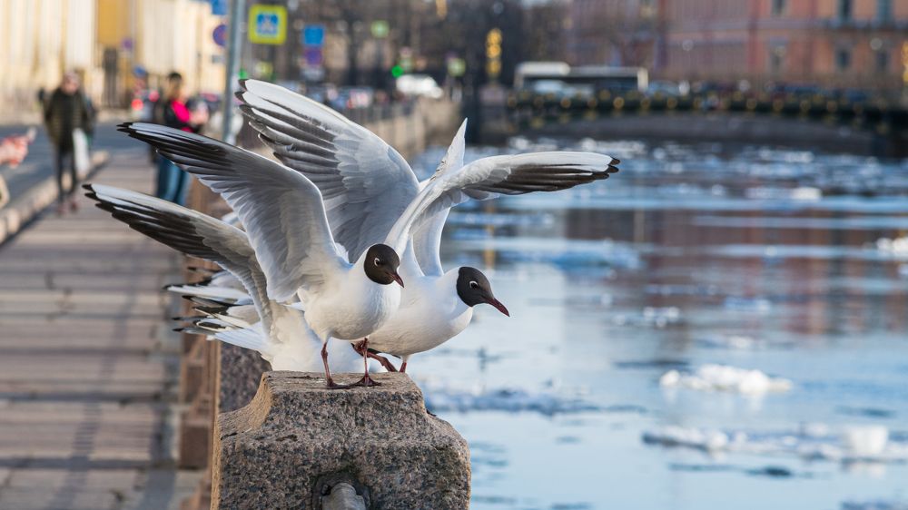 Photograph by Sofia Belyaeva