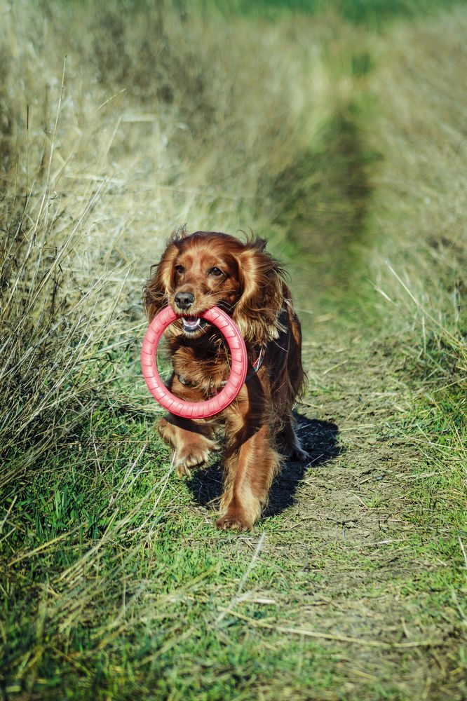 Photograph by Victoria Mogulyan