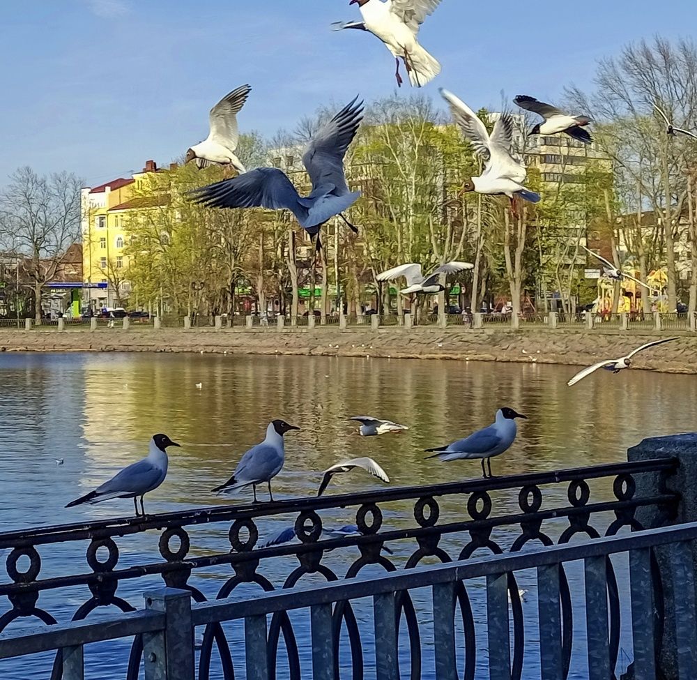 Photograph by Sergey Kurkov-Tarkovsky