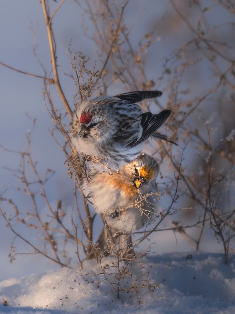 Photograph by Nephotograph