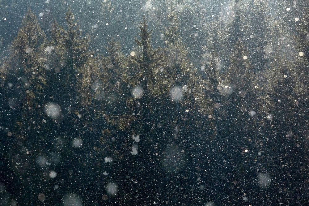 Photograph by Andreea Vestea