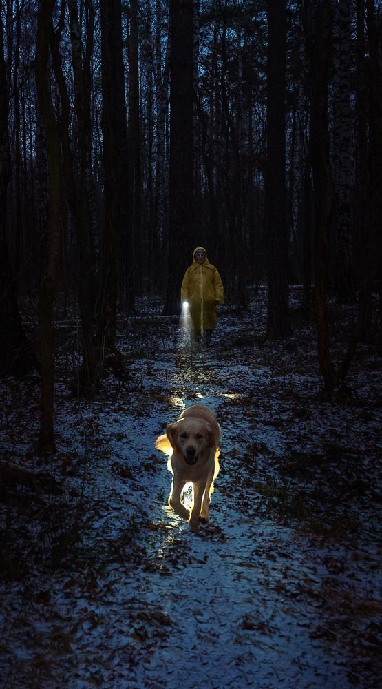 Photograph by Аверина Елена