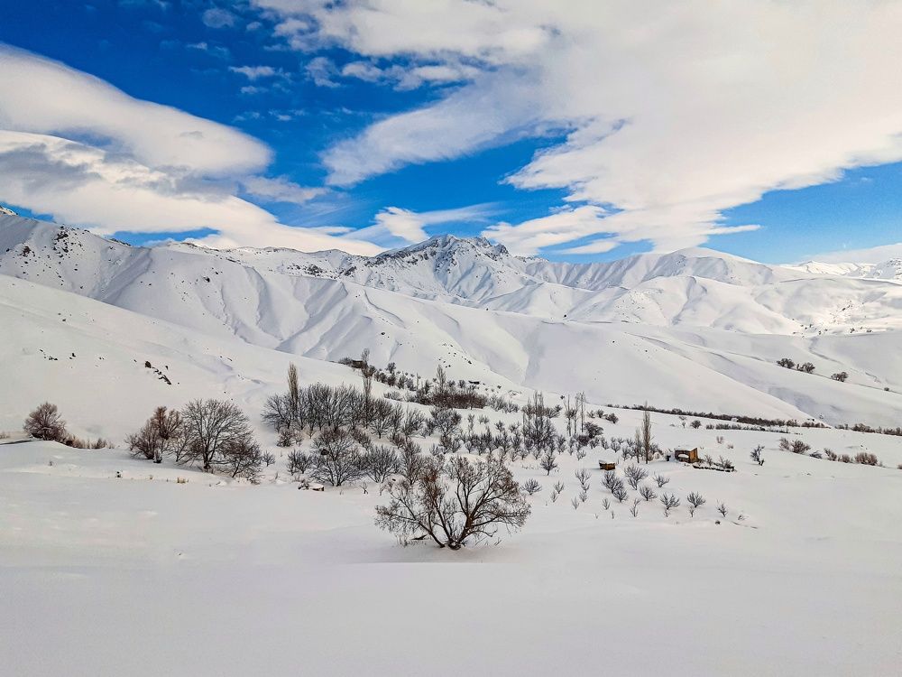 Photograph by Mohammadzaher Mohyadini