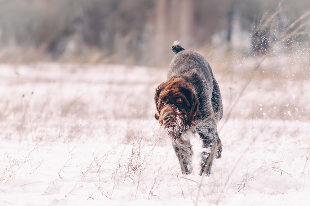 Photograph by Ольга Глущенко