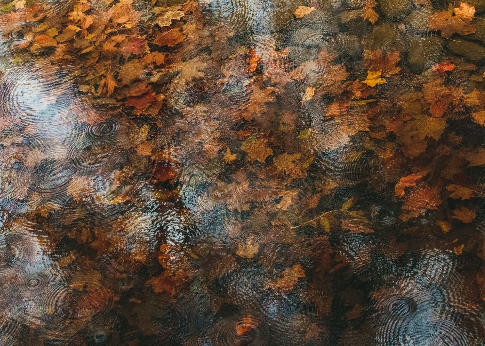 Photograph by Галчонок Ахмерова