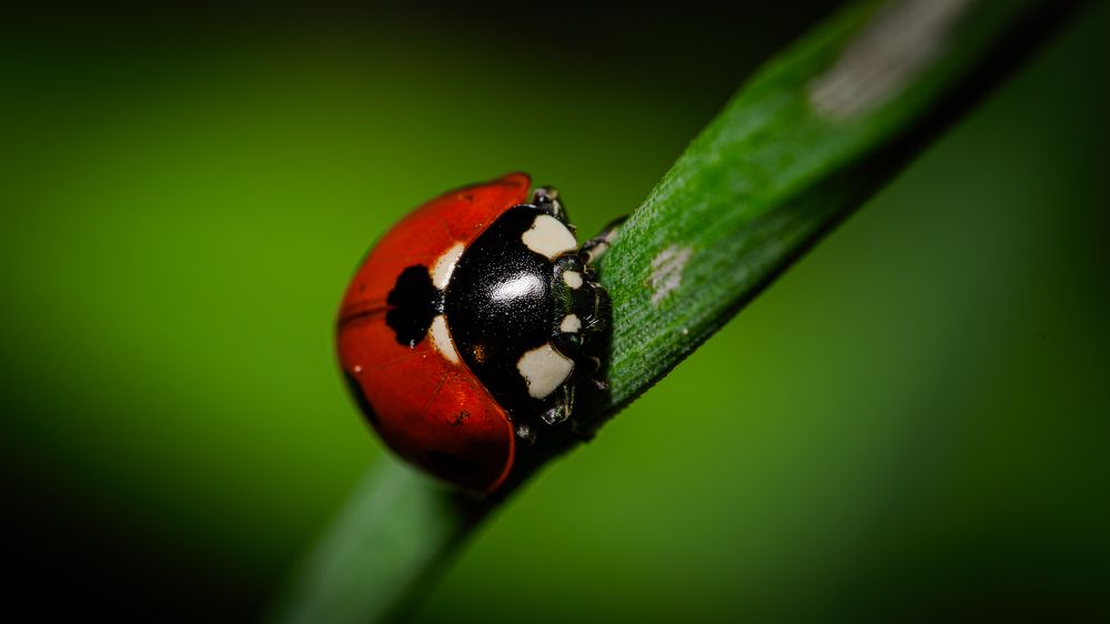 Photograph by Sofia Belyaeva