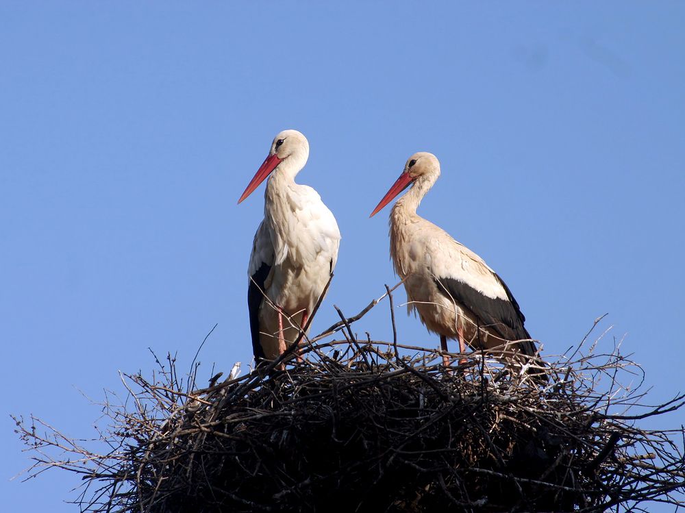 Photograph by Salih Aqeil