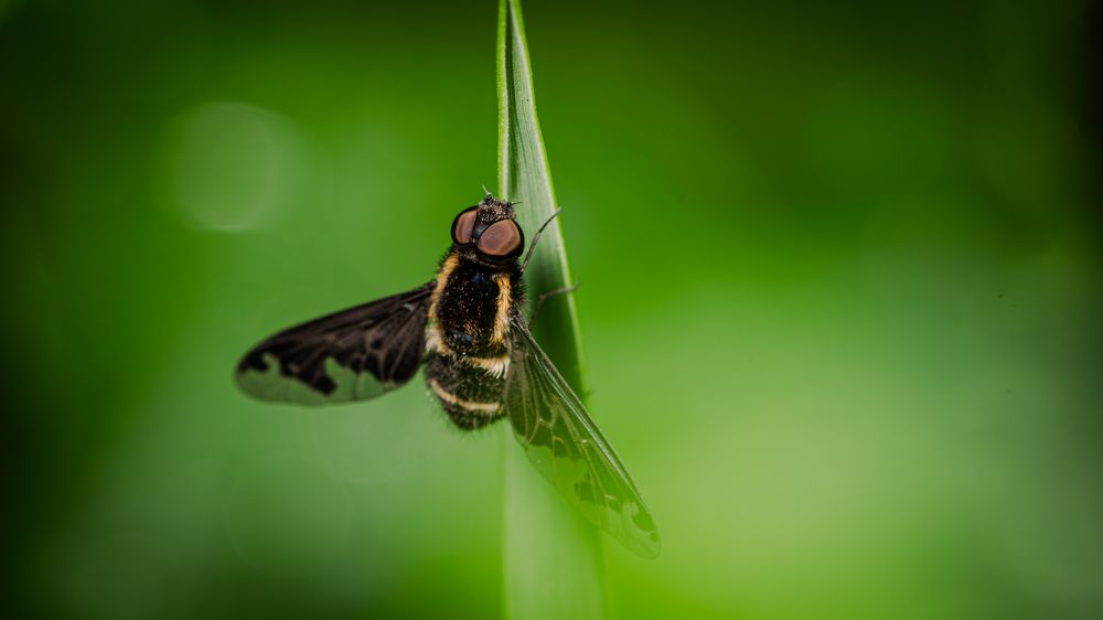 Photograph by Sofia Belyaeva