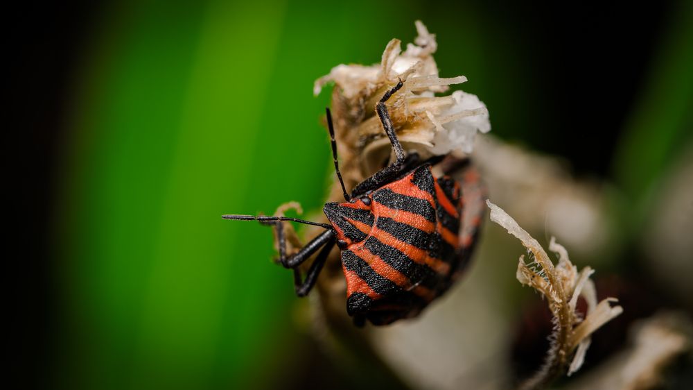 Photograph by Sofia Belyaeva