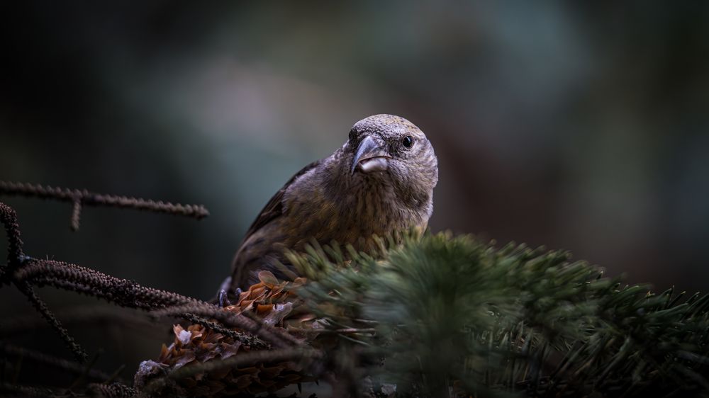 Photograph by Sofia Belyaeva