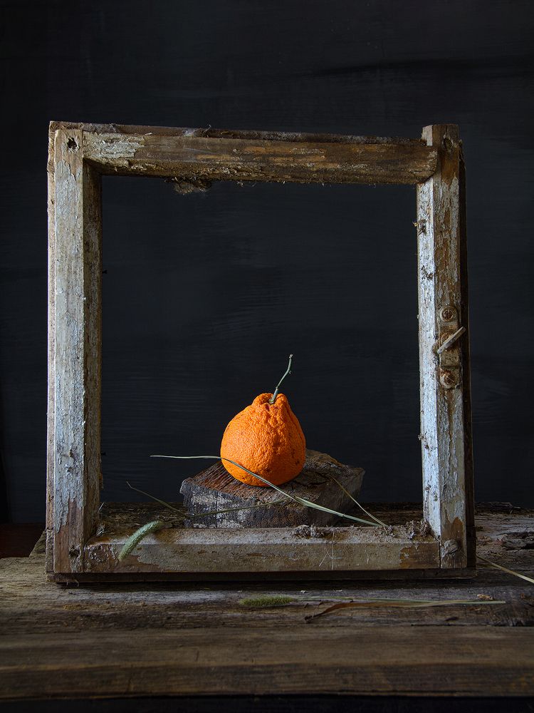 Запах января