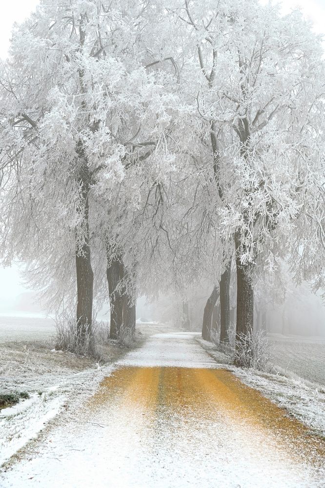 Photograph by Perry Wunderlich