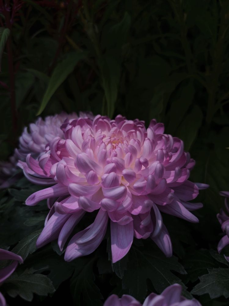 Фотография автора Hepzibah Guna Sakaran