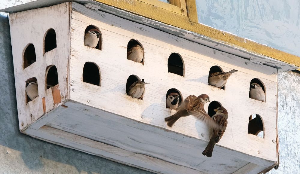 Фотография автора Наталья Липовская