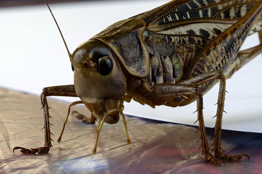 Photograph by Дашдемир Мамедов