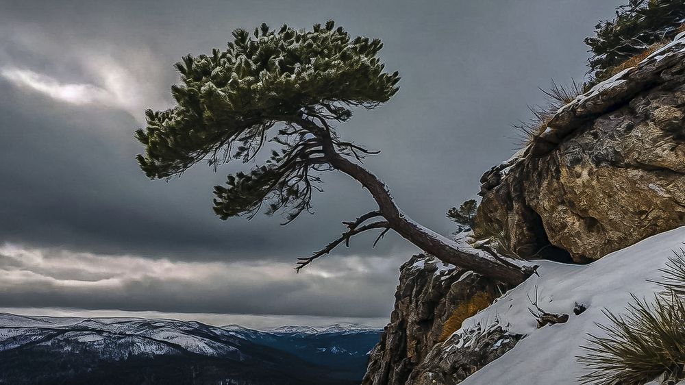 Photograph by Алексей Афонин