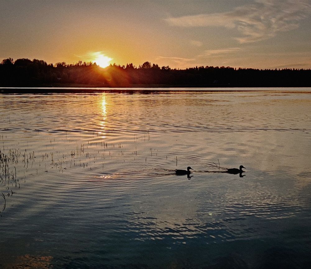 Photograph by Сергей