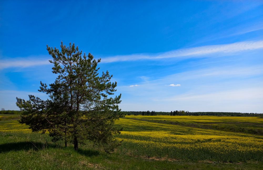 Photograph by Hanna Rein