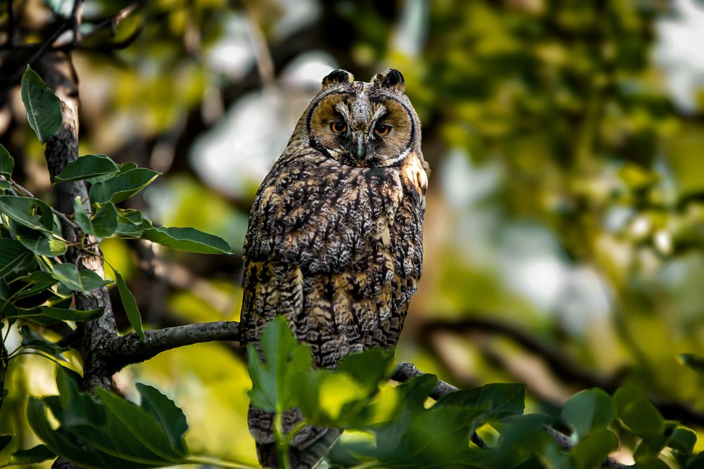 Photograph by Дашдемир Мамедов