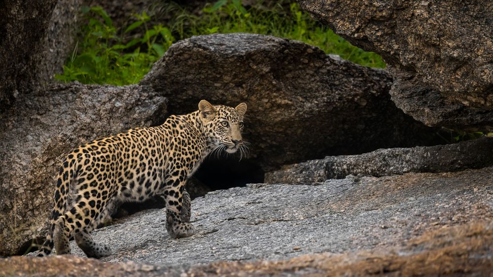 Photograph by Sandeep Shroff