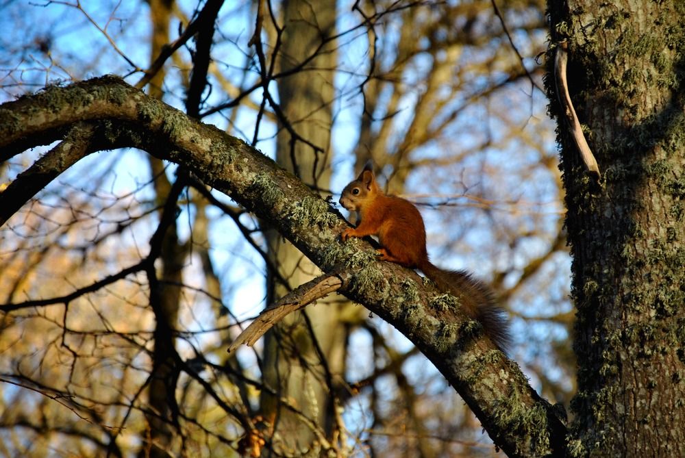 Photograph by Hanna Rein