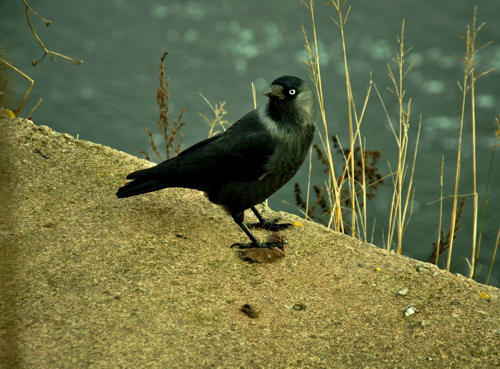 Photograph by Hanna Rein