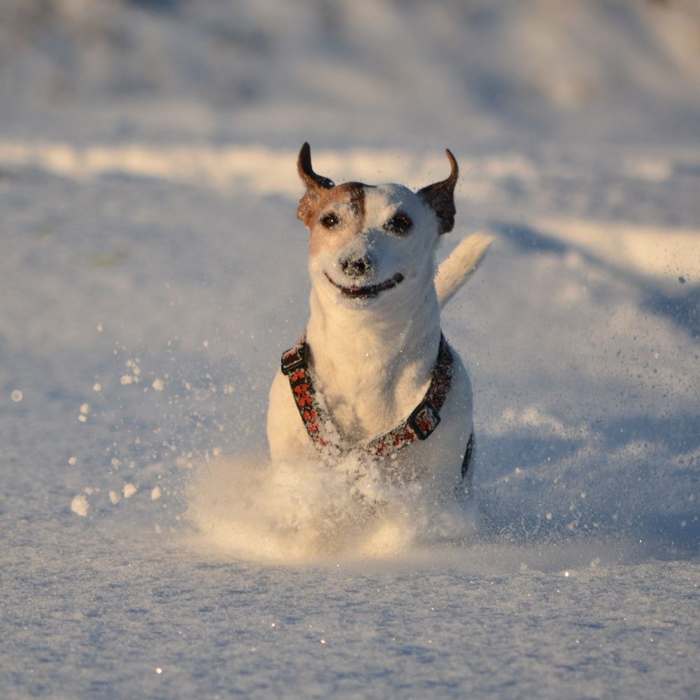 Photograph by Perry Wunderlich