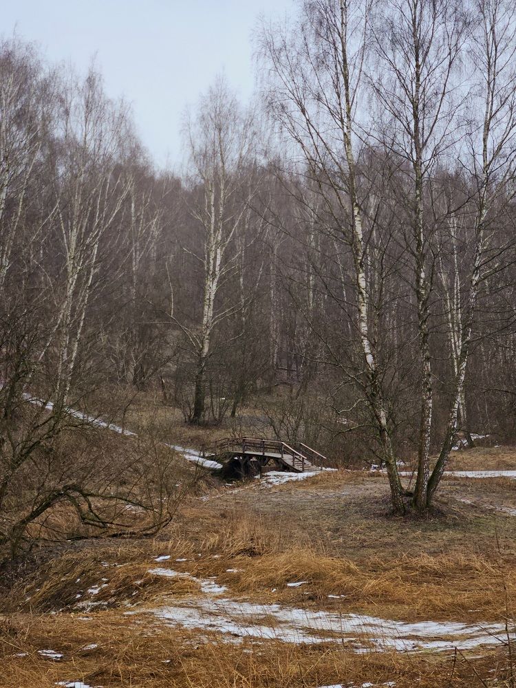 Photograph by Vol-de-M