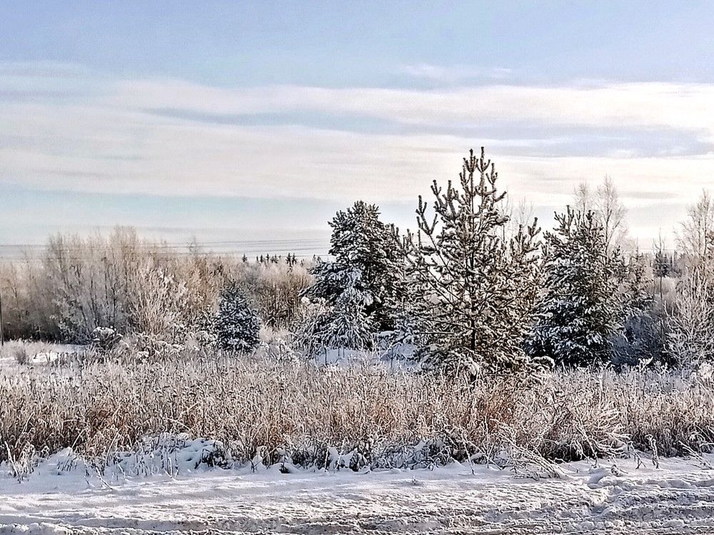 Морозное утро