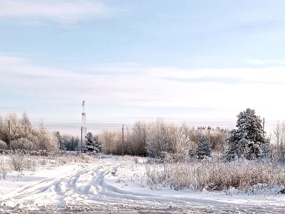 Photograph by Наталья Москвина