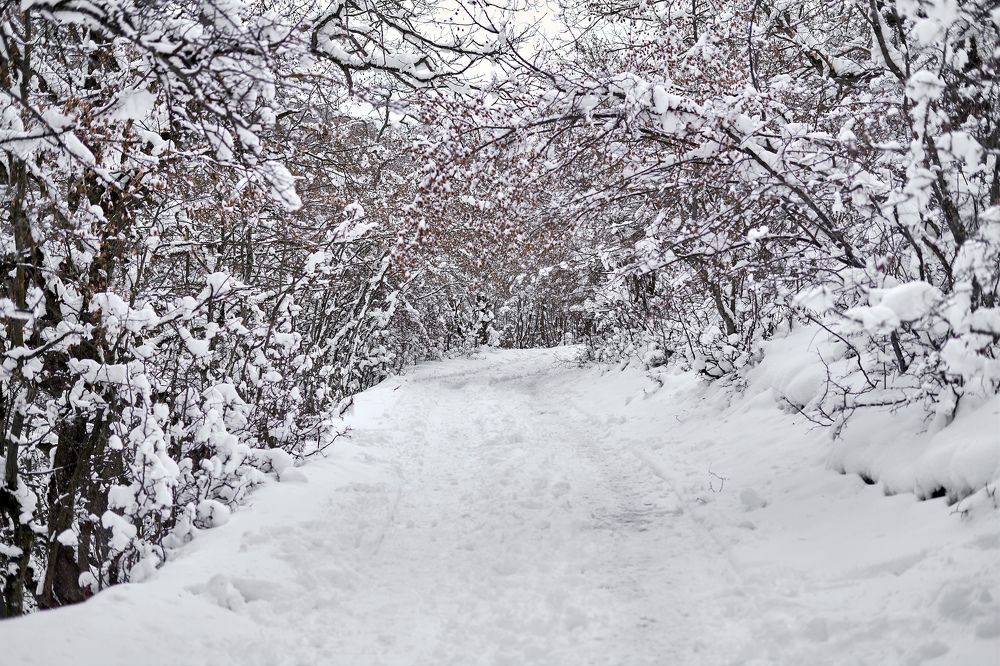 Photograph by Дашдемир Мамедов